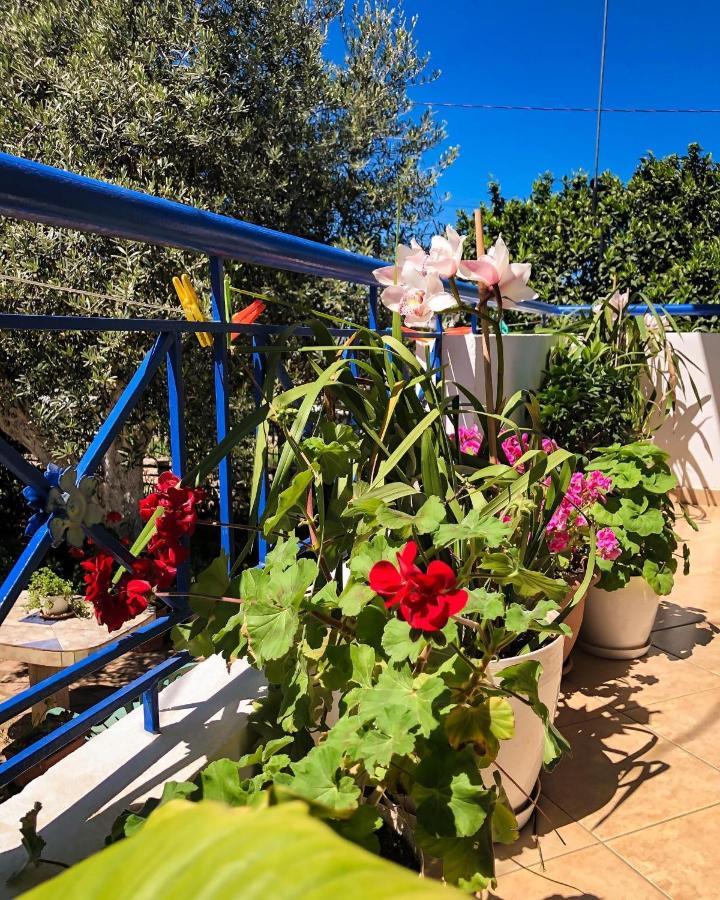 Vita Apartment - Spacious Garden And Balcony 5 Min To Beach & Center คซามิล ภายนอก รูปภาพ