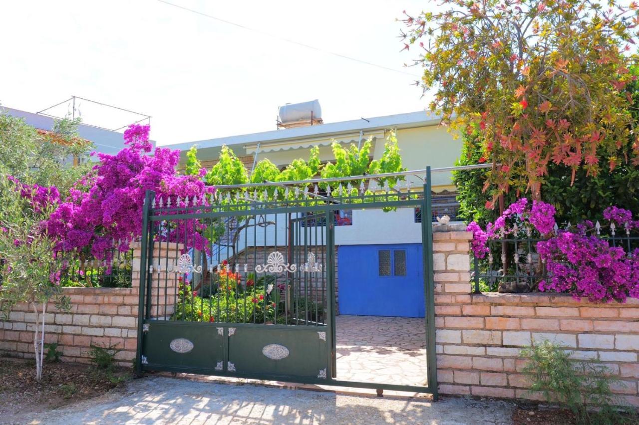 Vita Apartment - Spacious Garden And Balcony 5 Min To Beach & Center คซามิล ภายนอก รูปภาพ