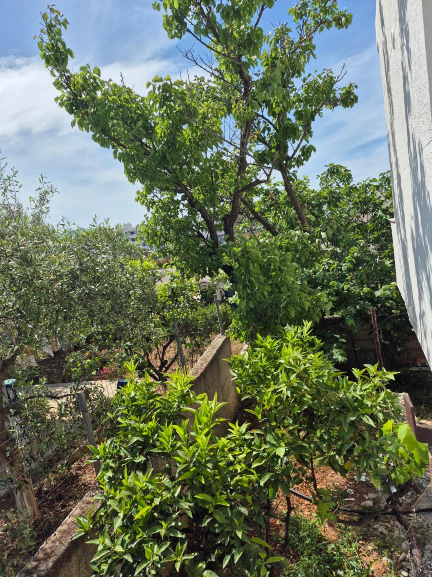 Vita Apartment - Spacious Garden And Balcony 5 Min To Beach & Center คซามิล ภายนอก รูปภาพ
