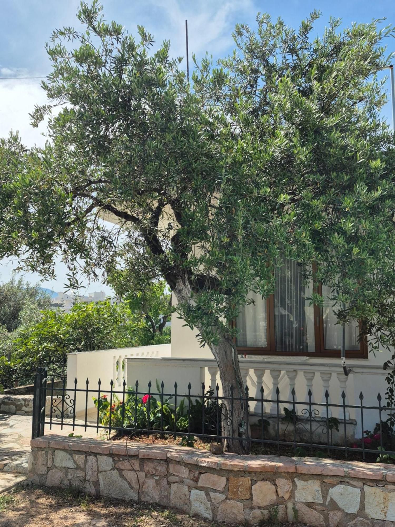 Vita Apartment - Spacious Garden And Balcony 5 Min To Beach & Center คซามิล ภายนอก รูปภาพ