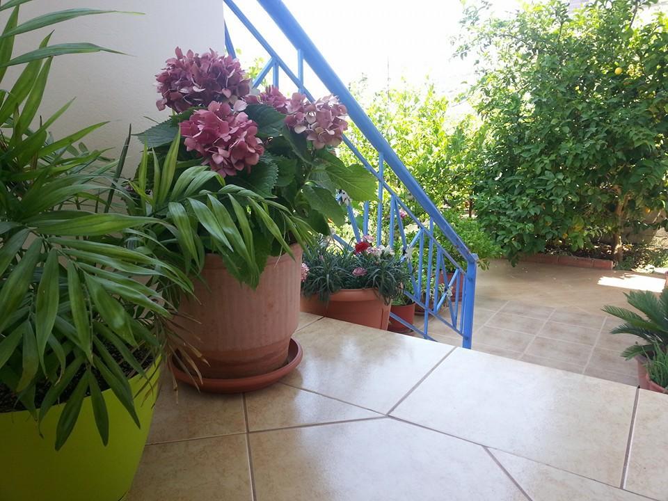 Vita Apartment - Spacious Garden And Balcony 5 Min To Beach & Center คซามิล ภายนอก รูปภาพ